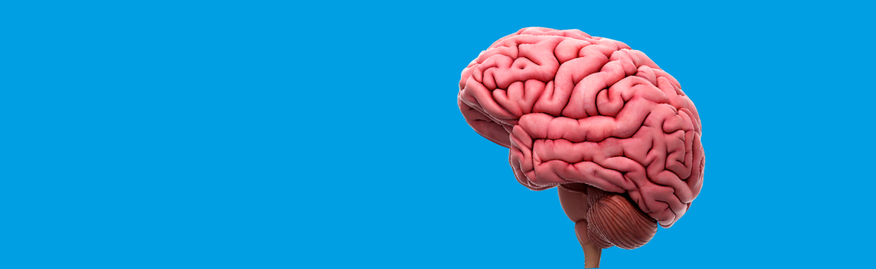 Ataque cerebrovascular: la segunda causa de muerte y principal causa de discapacidad en Colombia