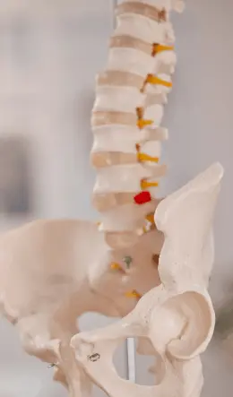 Cirugía de Columna
