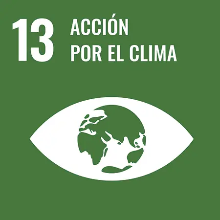objetivo 13 