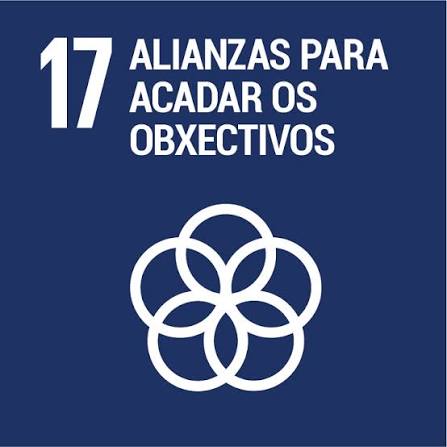 Objetivo de sostenibilidad 17
