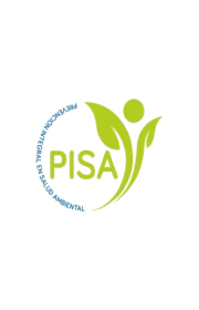 pisa